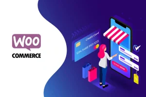 Como Configurar Sistemas de Pagamento no WooCommerce