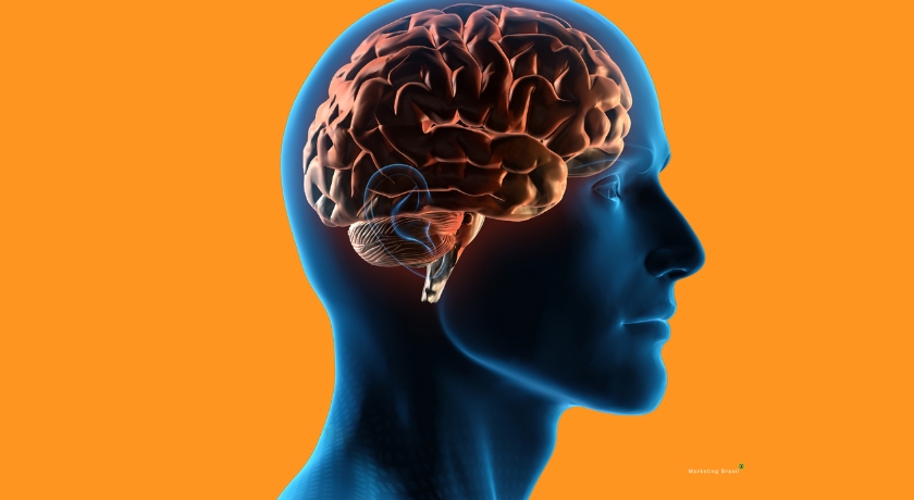 Gráfico ilustrando o conceito de neuromarketing no marketing digital, destacando conexão emocional e análise do comportamento do consumidor.