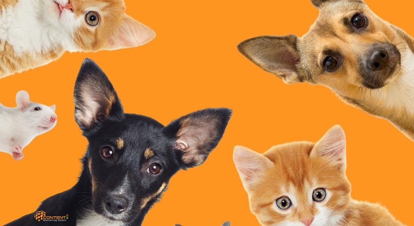 Exemplo de slogan criativo para pet shop destacando cuidado e confiança.